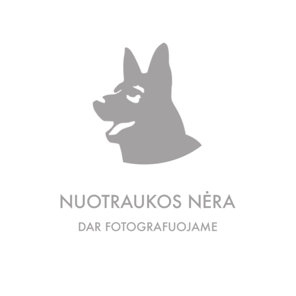 Nuotraukos nera dar fotografuojame