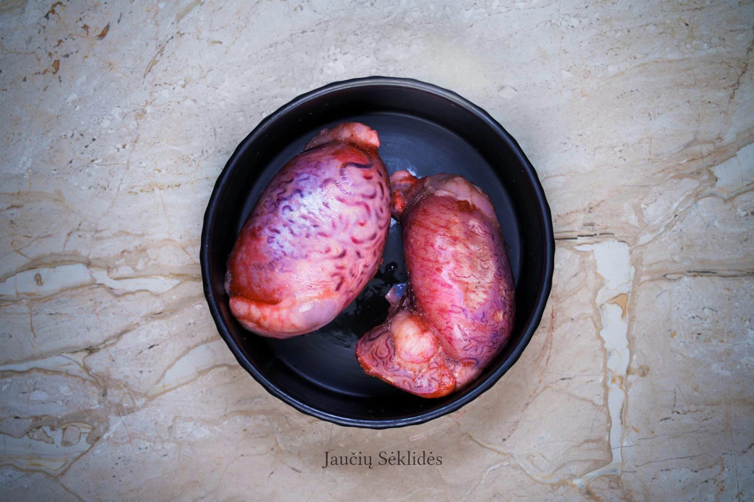 Testicles of bulls